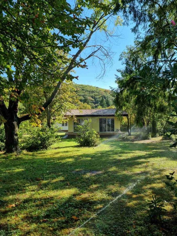 Fuk-Tak'S Bungalow Dojran Extérieur photo